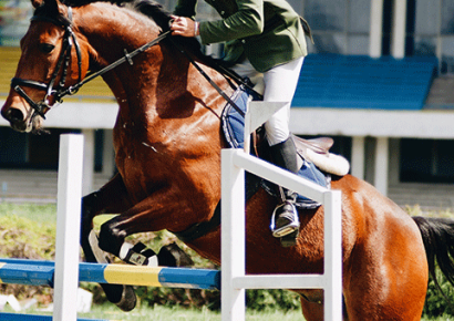 How To Get Your Horse Ready For Competitions