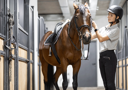 Providing Horses Supplements They Need